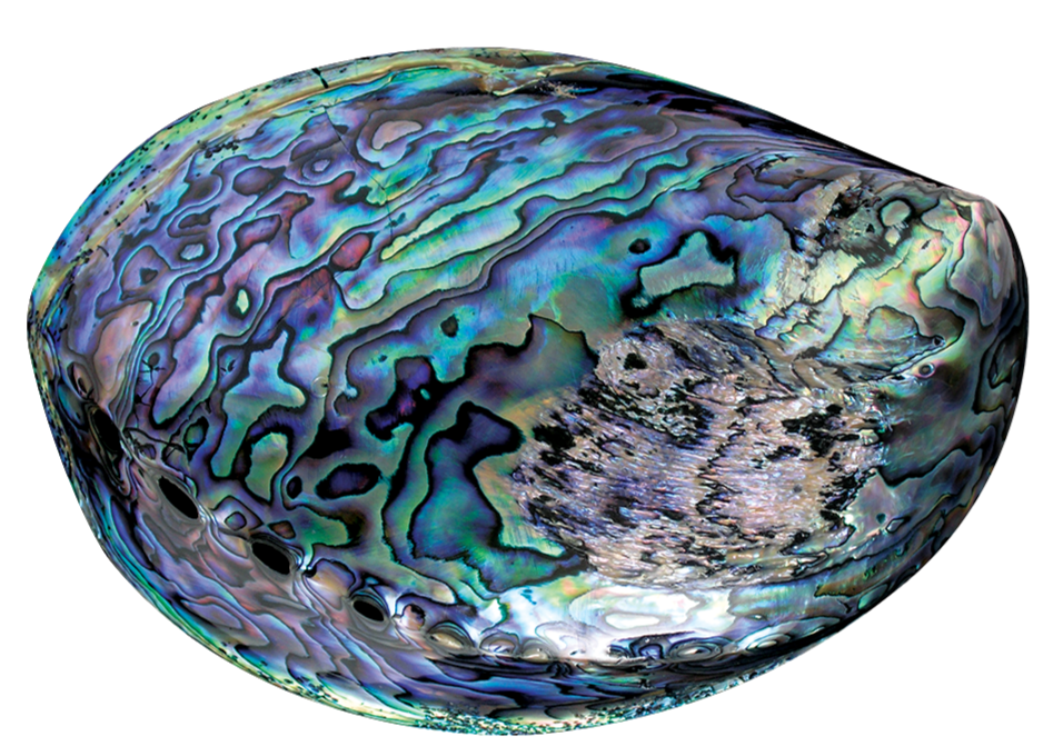 Marine 2025 opal price